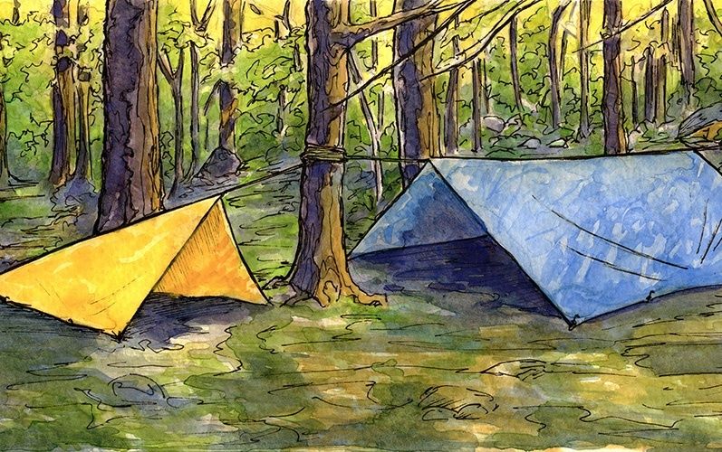 Zwei einfache Tarps als Schlafplätze in einem lichten Wald